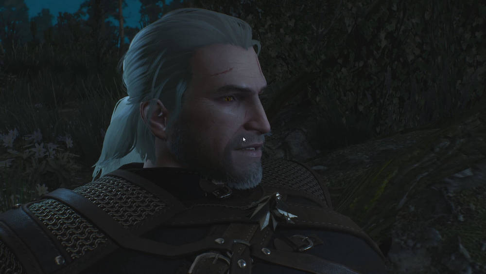 witcher3-03.jpg